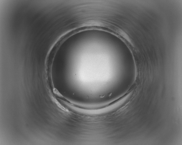 X0000069811116200605221157