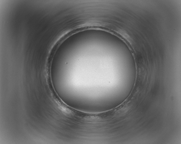 X0000069811119200605221157