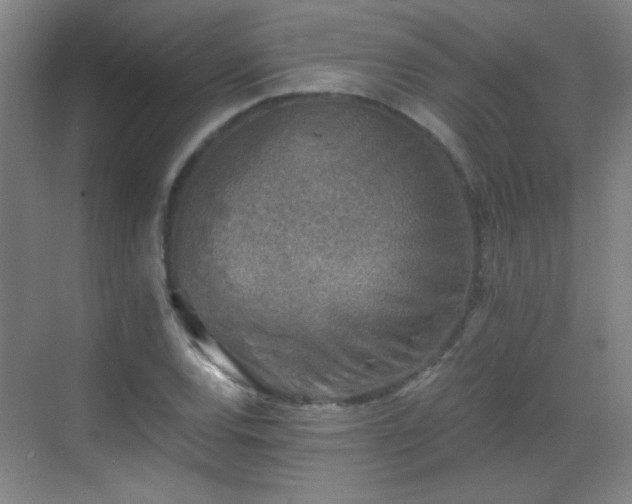 X0000069811120200605221157