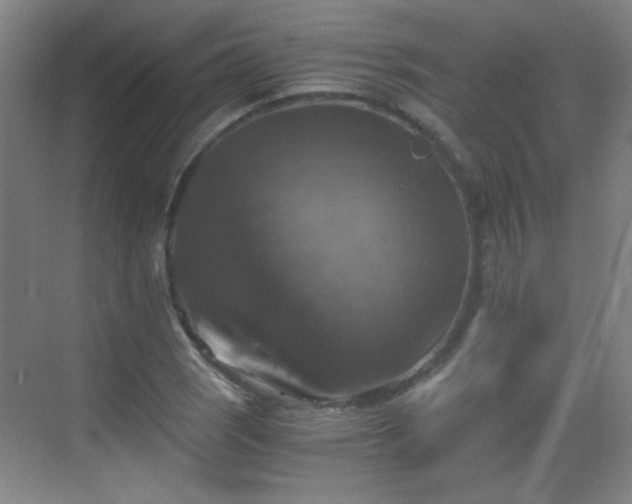 X0000069811121200605221157