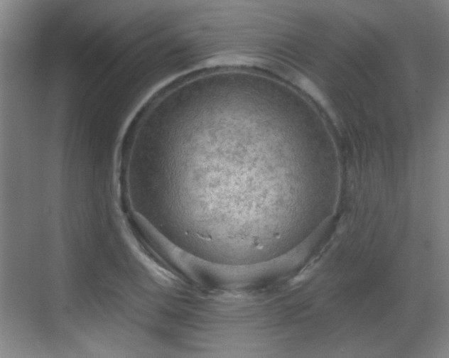 X0000069811124200605221157