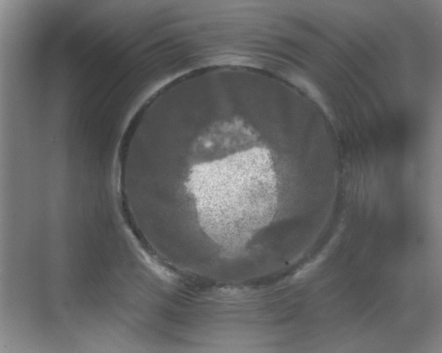 X0000069811125200605221157