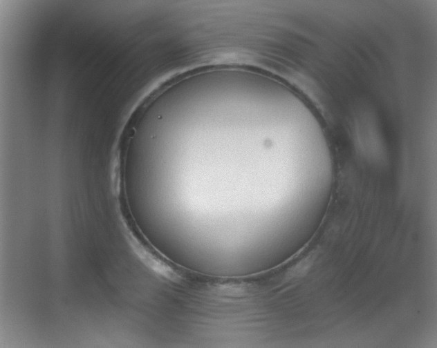 X0000069811126200605221157