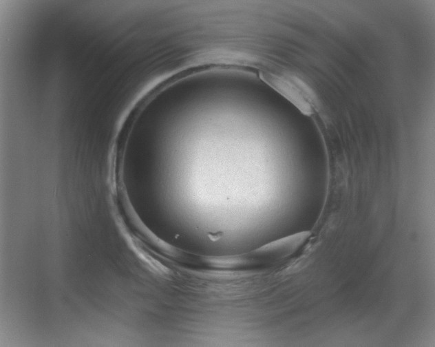 X0000069811128200605221157