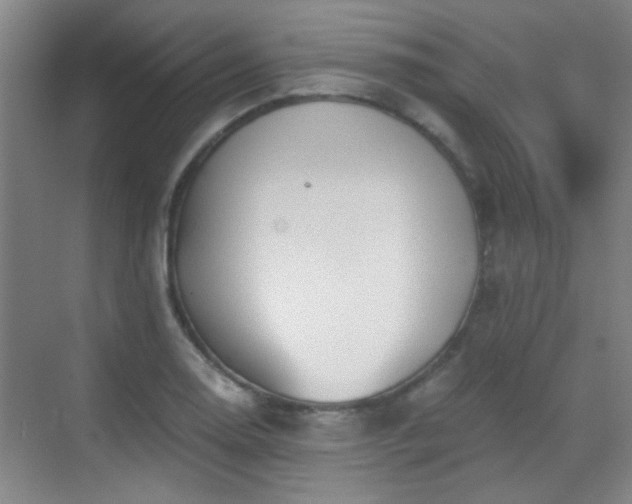 X0000069811130200605221157