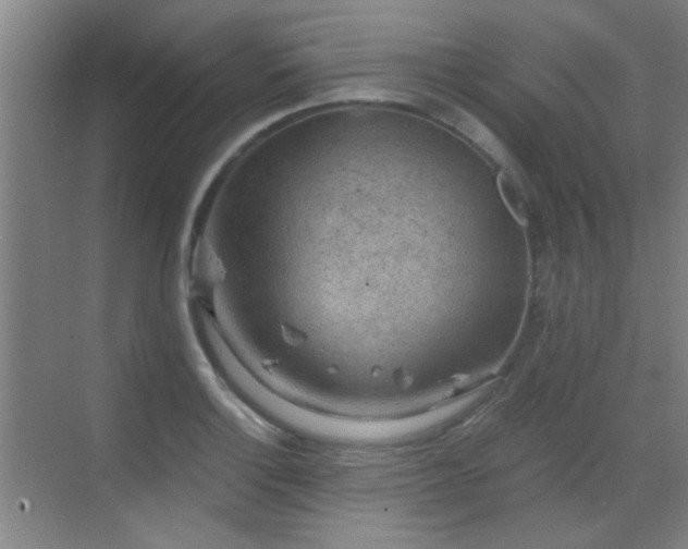 X0000069811132200605221157