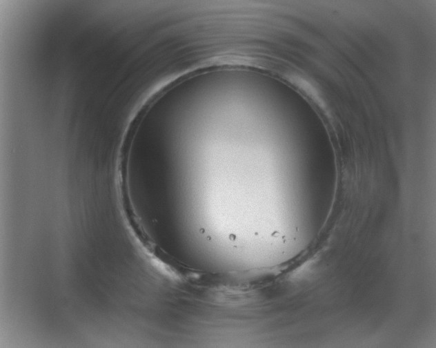 X0000069811133200605221157