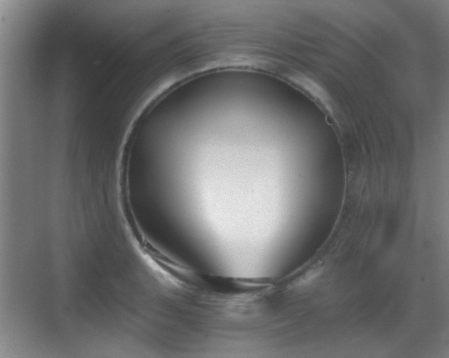 X0000069811135200605221157