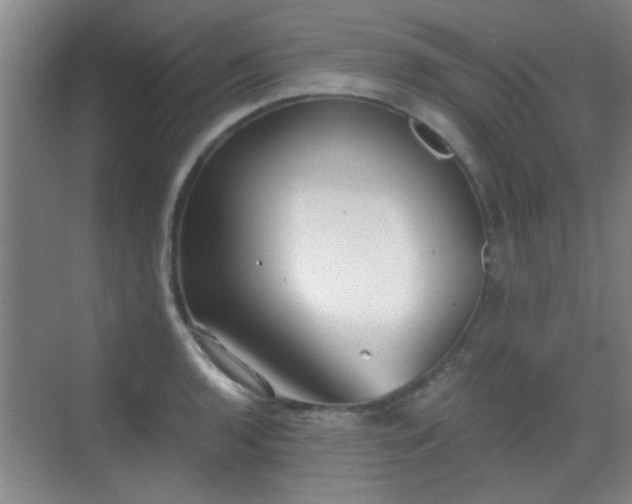 X0000069811136200605221157