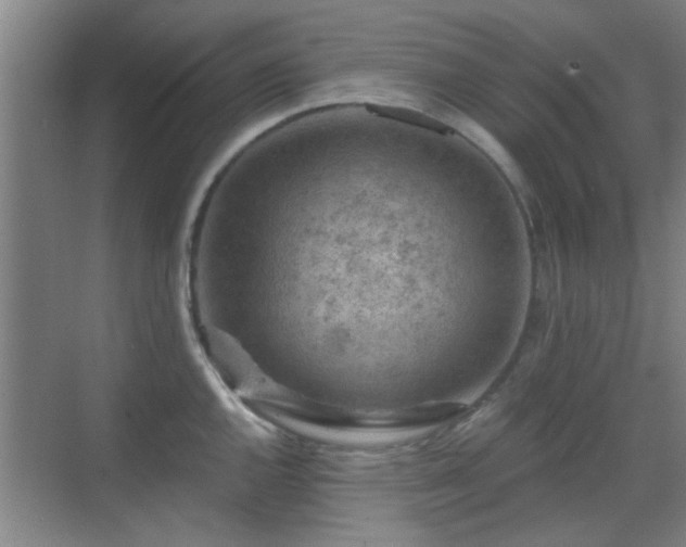 X0000069811144200605221157