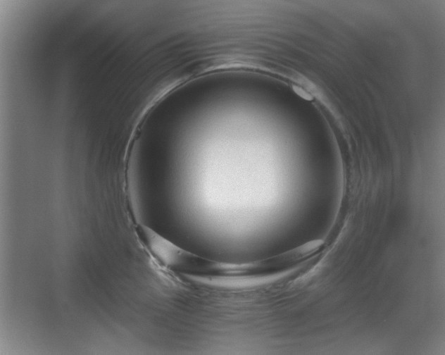 X0000069811145200605221157