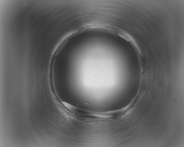 X0000069811146200605221157