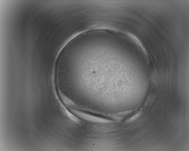 X0000069811149200605221157