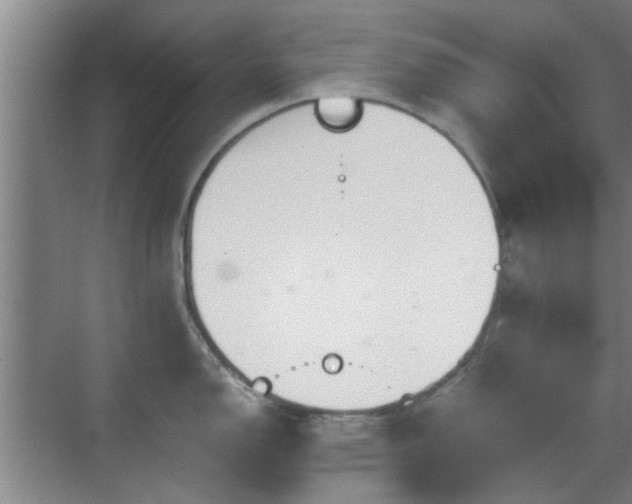 X0000069811150200605221157