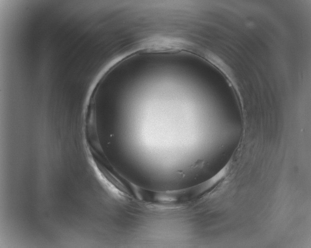 X0000069811152200605221157