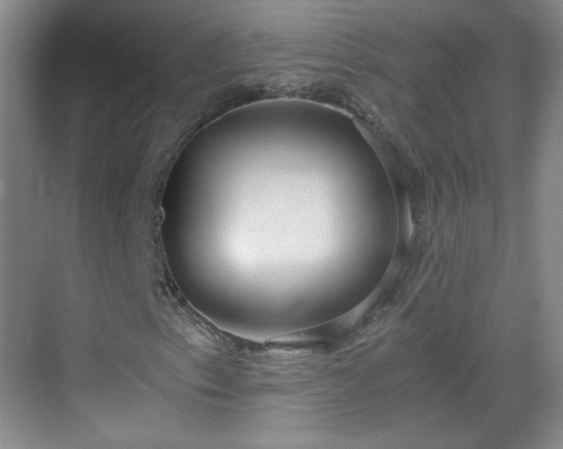 X0000069811153200605221157