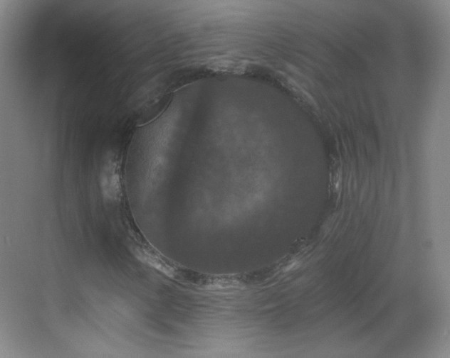 X0000069811154200605221157