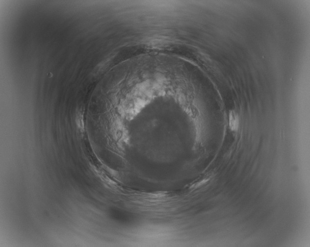 X0000069811155200605221157