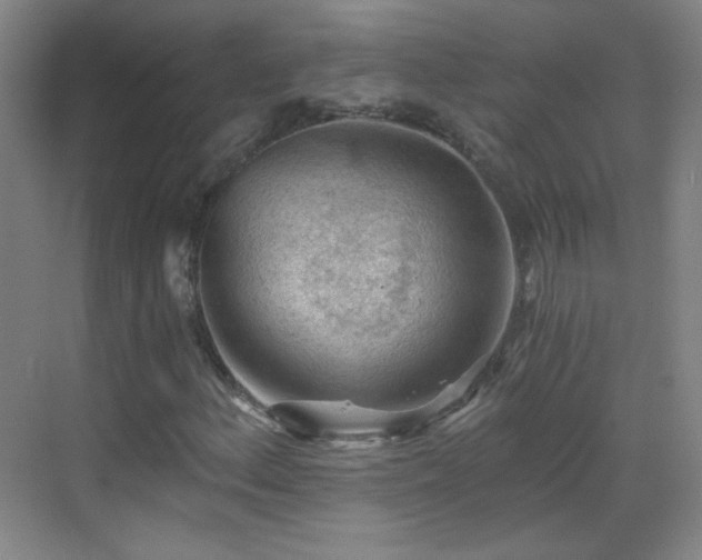 X0000069811156200605221157