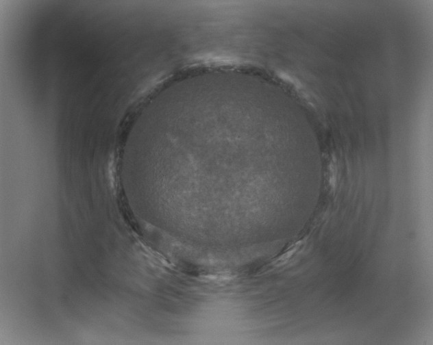 X0000069811157200605221157