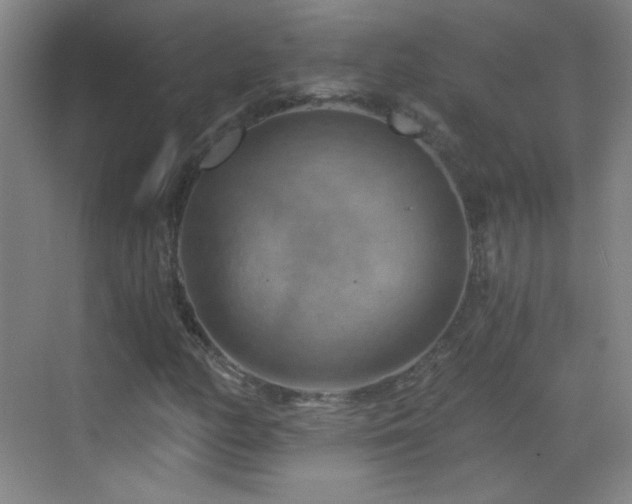 X0000069811158200605221157