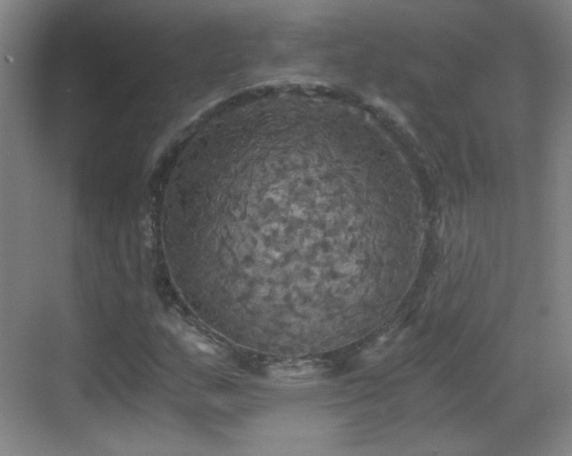 X0000069811159200605221157