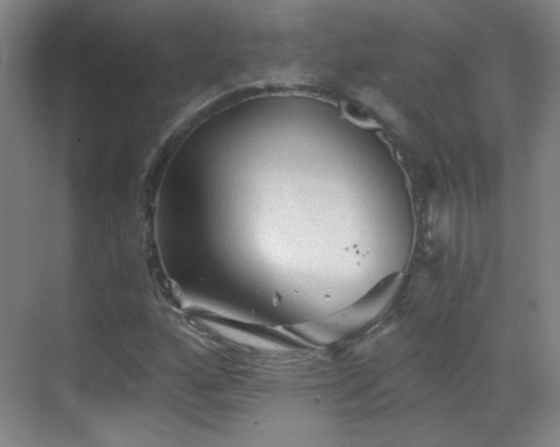 X0000069811160200605221157