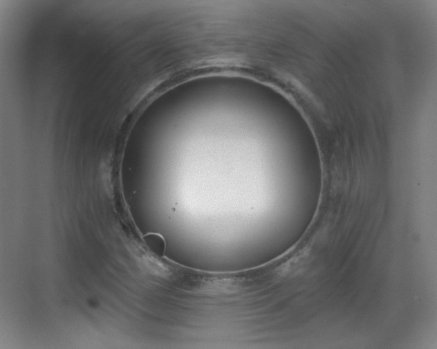 X0000069811162200605221156