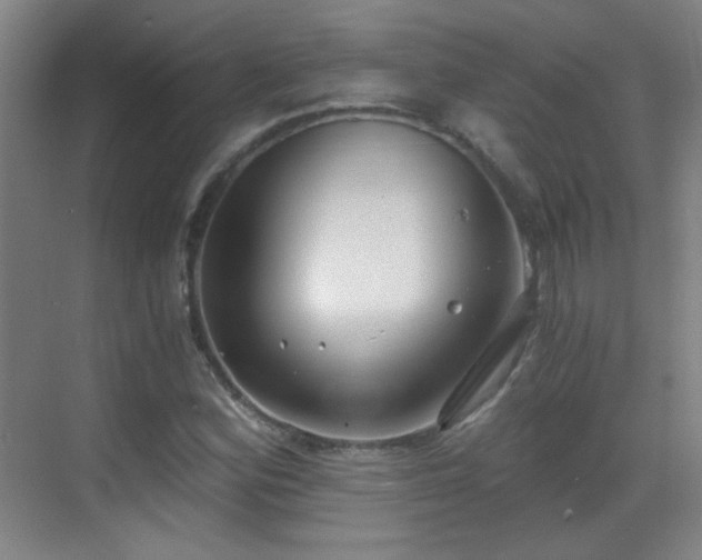 X0000069811164200605221156