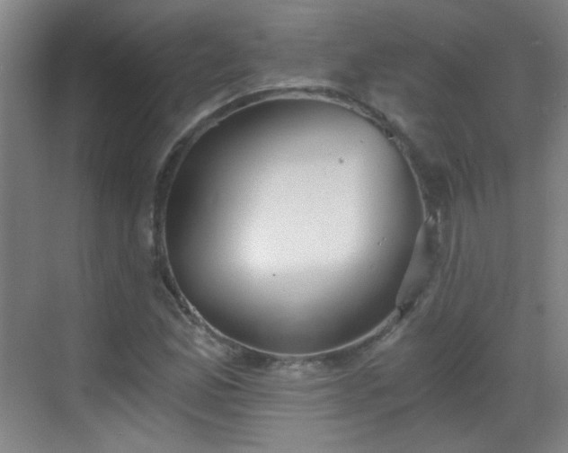 X0000069811165200605221156