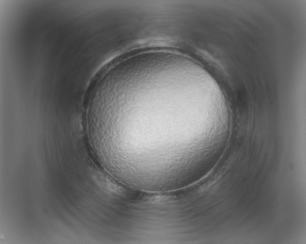 X0000069811166200605221156