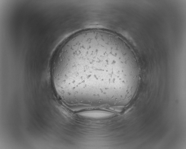 X0000069811167200605221156