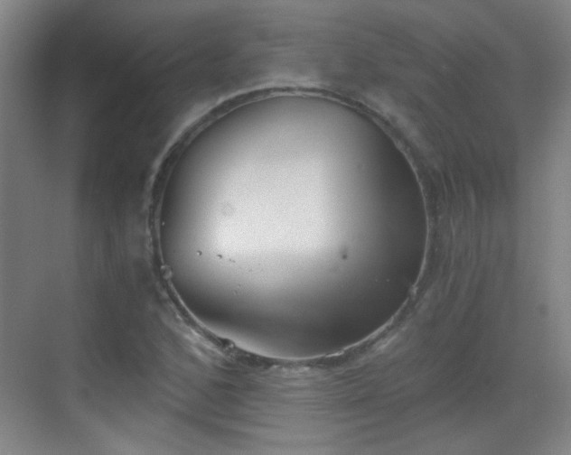 X0000069811168200605221156