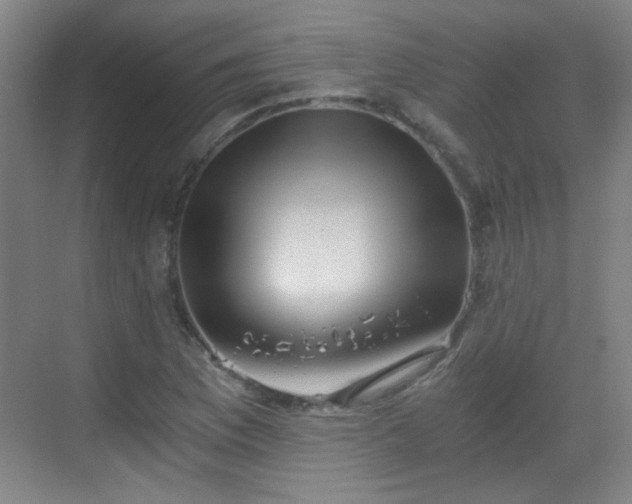 X0000069811169200605221156