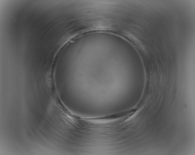 X0000069811170200605221156