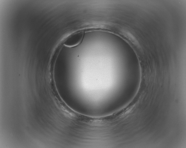 X0000069811172200605221156