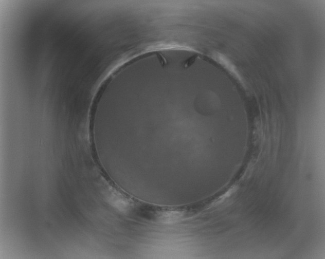 X0000069811173200605221156