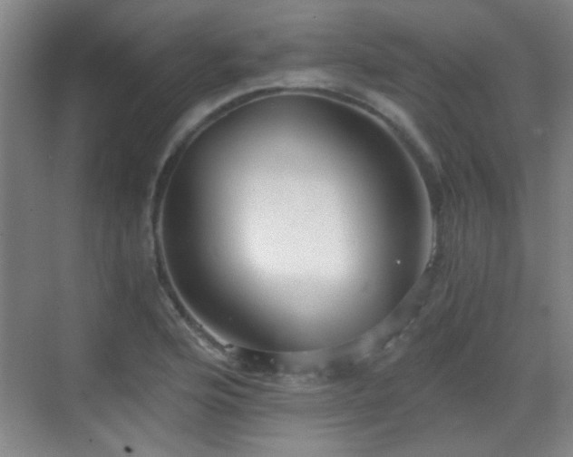 X0000069811176200605221156