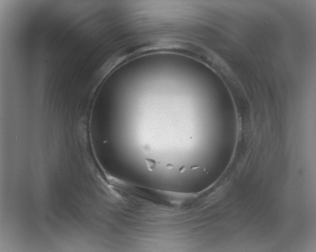 X0000069811177200605221156