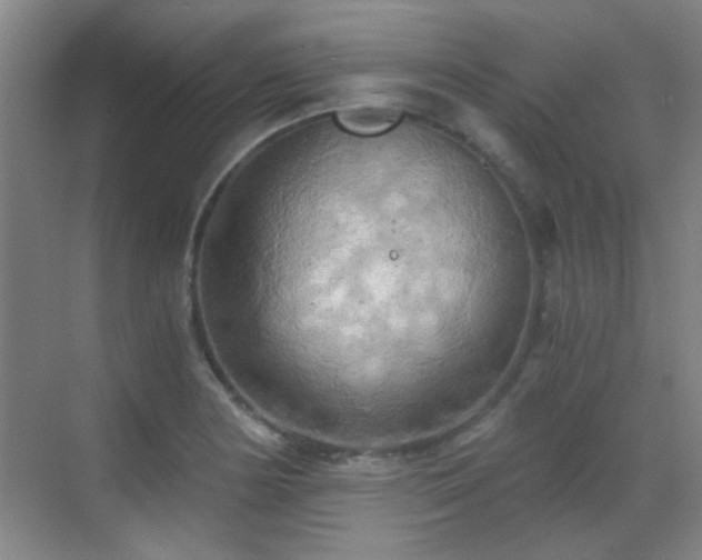 X0000069811178200605221156