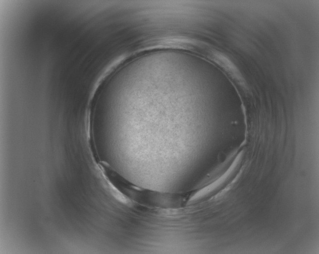 X0000069811180200605221156