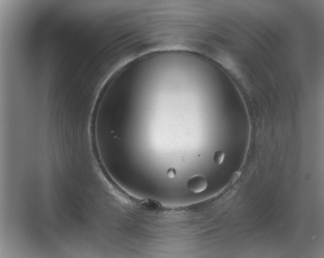 X0000069811181200605221156