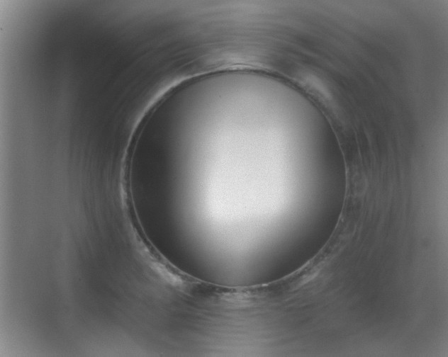 X0000069811182200605221156