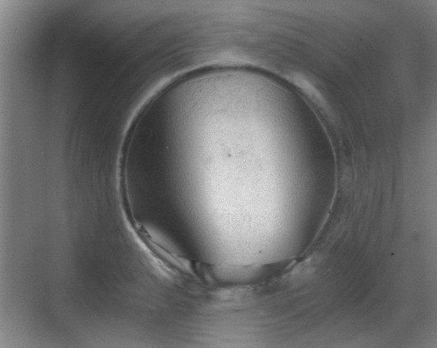 X0000069811183200605221156