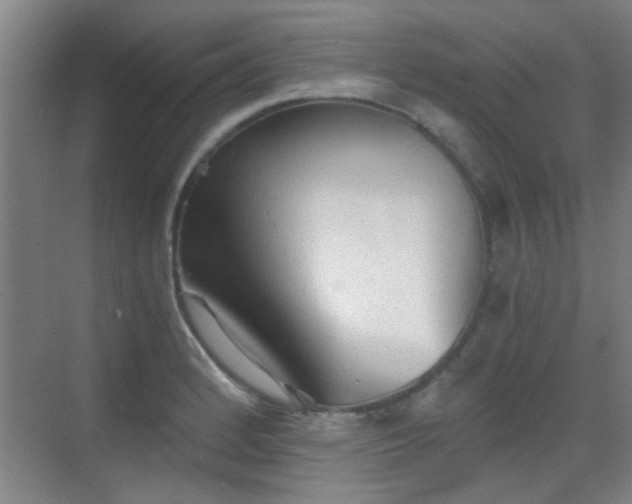 X0000069811184200605221156