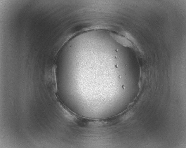 X0000069811185200605221156