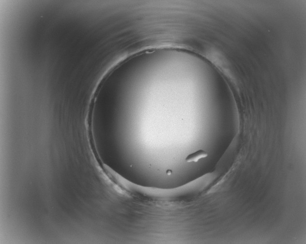 X0000069811189200605221156