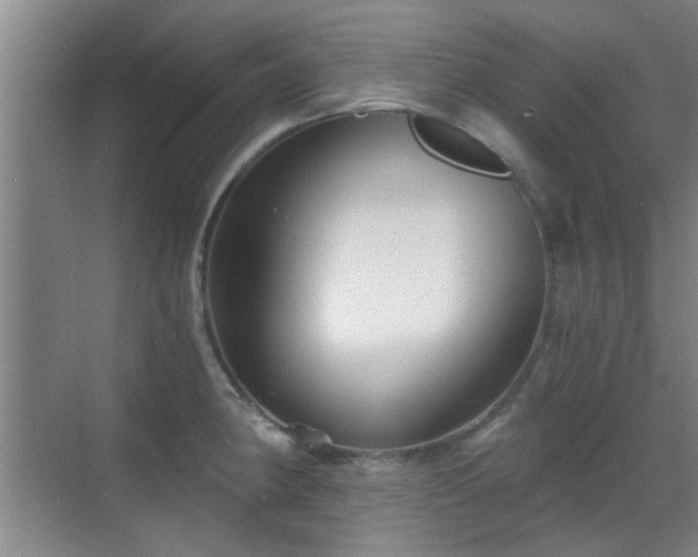 X0000069811190200605221156