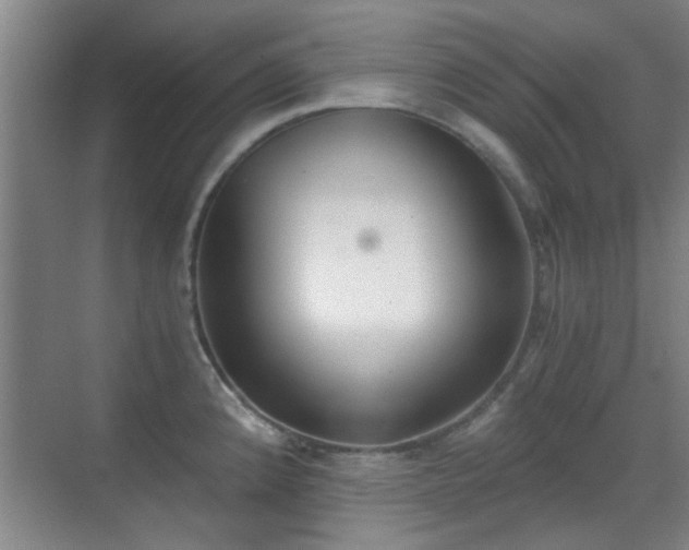 X0000069811192200605221156