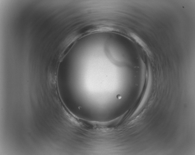 X0000069811193200605221156